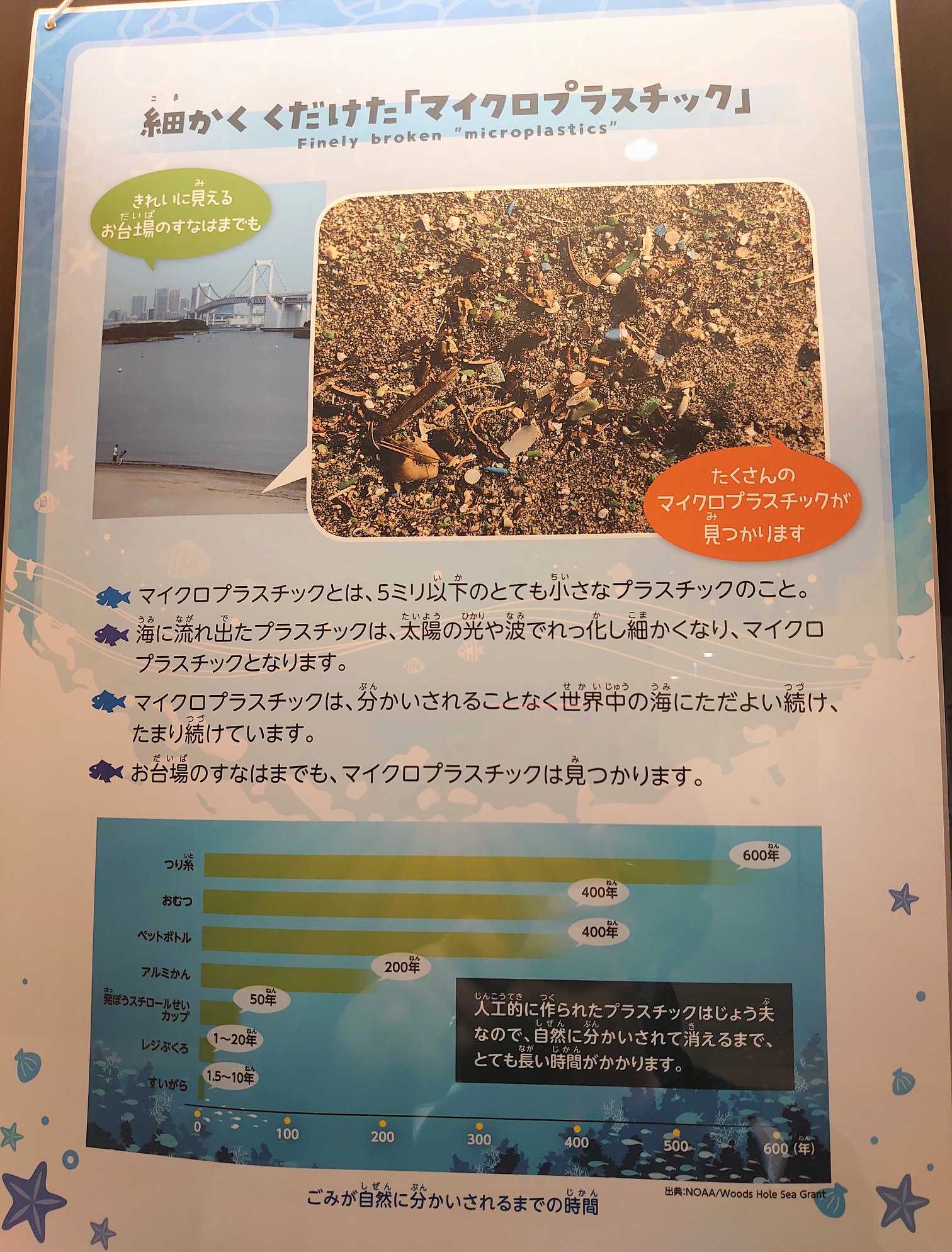 【2020年10月15日】港区の海洋プラスチック問題パネル展を視察しました