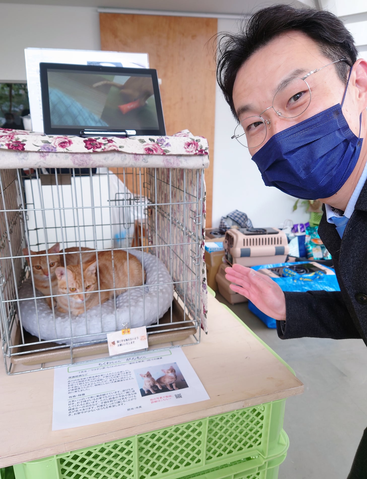 【2022年2月6日】保護猫譲渡会にボランティア希望者と伺いました