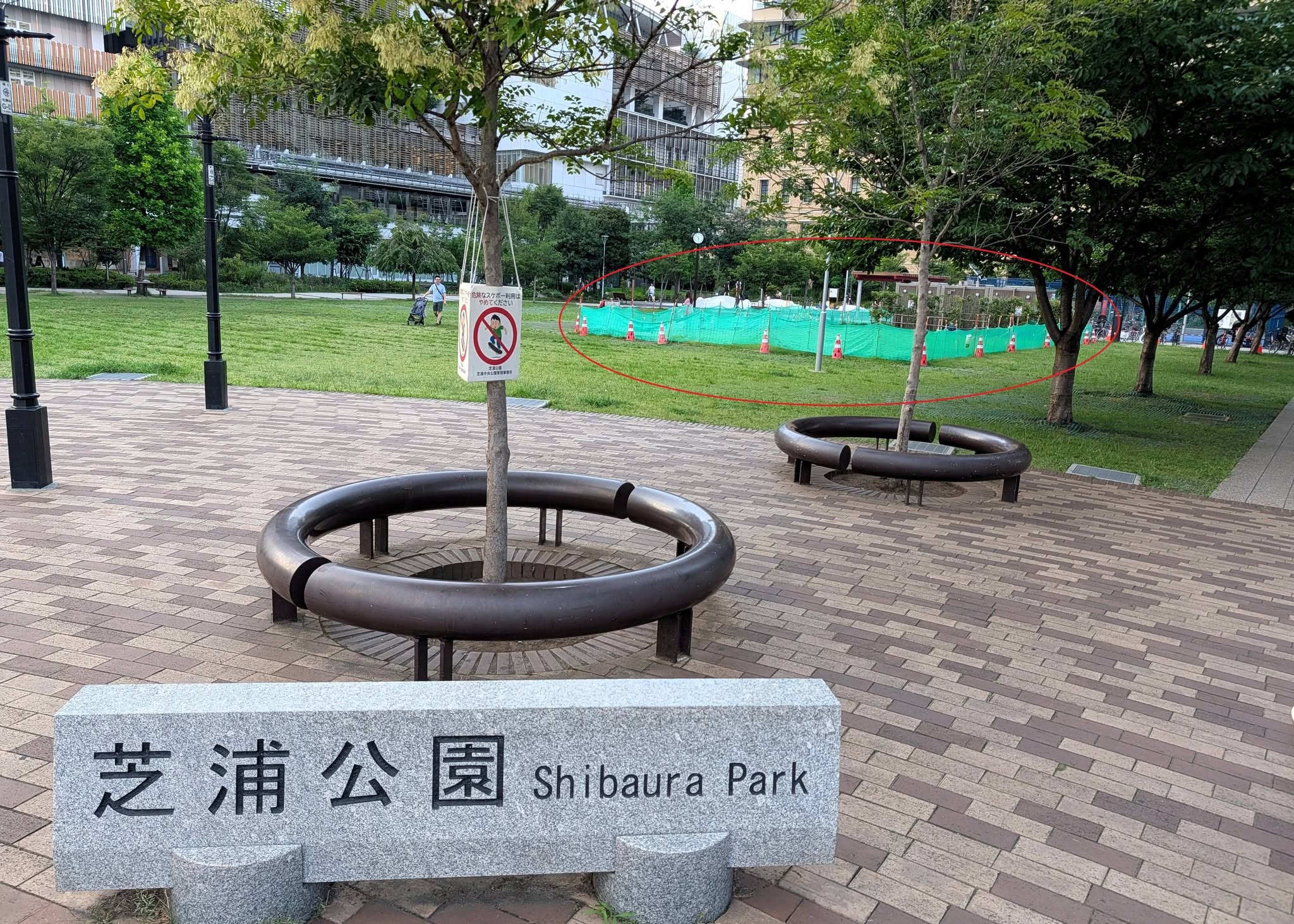 【2026年7月21日】芝浦公園の養生の確認などしました